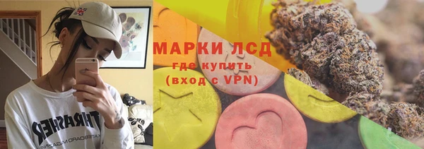 индика Осинники