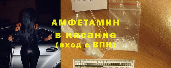 индика Осинники