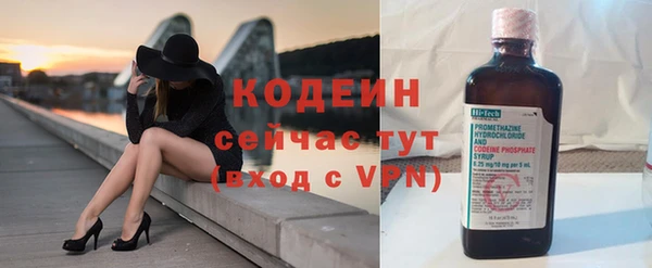 индика Осинники