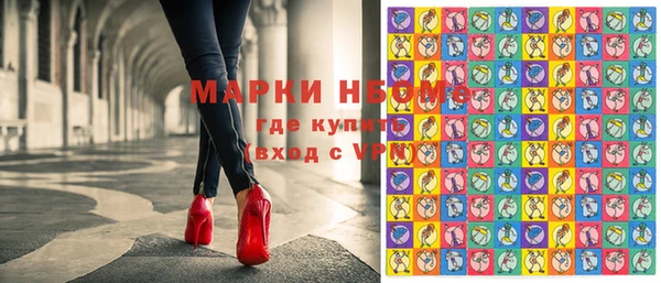 индика Осинники