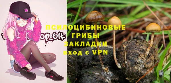 индика Осинники