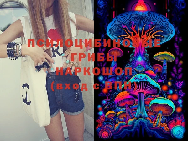 индика Осинники