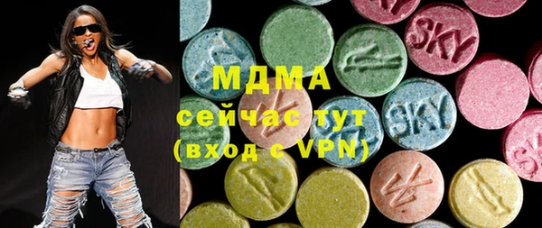 индика Осинники