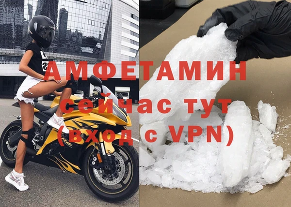 индика Осинники