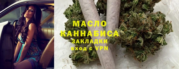 индика Осинники