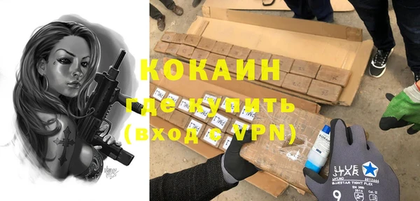 индика Осинники