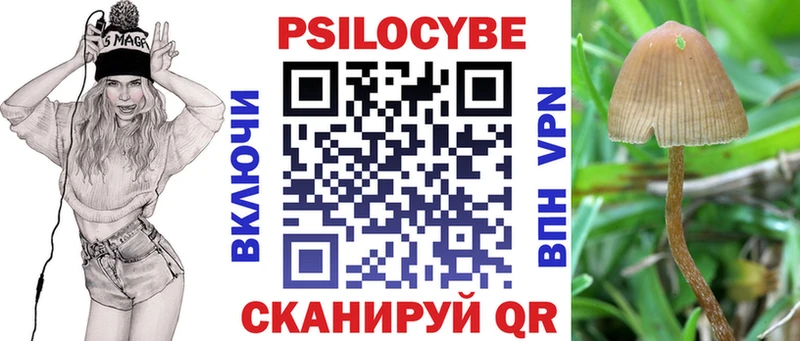 Галлюциногенные грибы мухоморы  хочу   Сельцо 